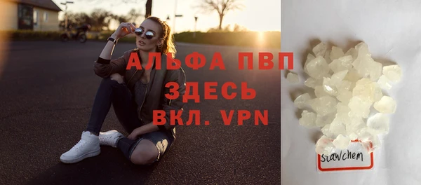 гашик Майский