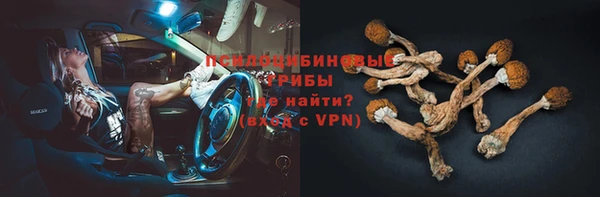 эйфоретик Магадан