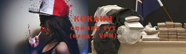 гашик Майский