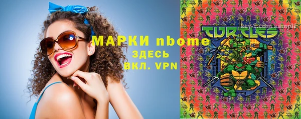 гашик Майский