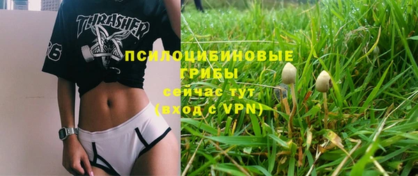 соль ск Магас