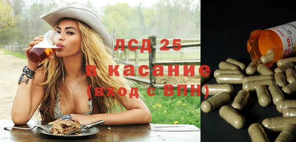 гашик Майский