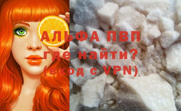 гашик Майский