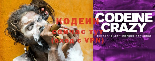 гашик Майский