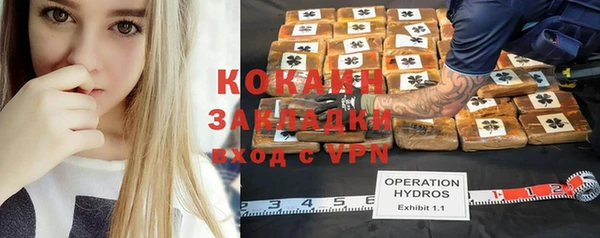 гашик Майский