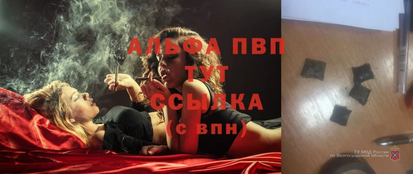 гашик Майский