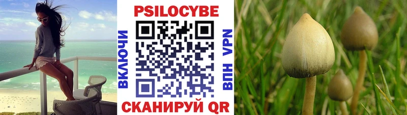 Псилоцибиновые грибы Psilocybine cubensis  цены   Сусуман 